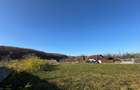 Vanzare  1400mp teren imprejmuit 2 loturi pt casa Adancata - sub padure - 8