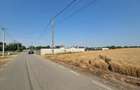 Teren intravilan de 4910 mp, în Ulmi - 6