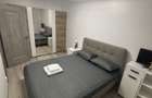 Inchiriez apartament cu 2 camere pietonal Unirii - 3