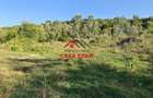 Teren intravilan in Cornu (Ph)--1490 mp--29e - 19