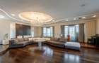 AMAZING PENTHOUSE - LAKE VIEW - 7