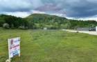 Teren extravilan de 5000 mp, în Vama Buzăului - 10