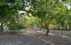 Casa 6 camere, amplasare rurala, 1600mp teren. Pre? u?or negociabil - 3