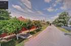 Casă cu 4 camere cu Teren 1500 Mp în Mihail Kogălniceanu - 3