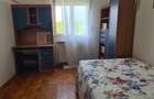 Apartament cu 3 camere semidecomandat în Nicolae Grigorescu - 5