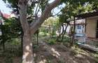 Faleza Nord - casa constructie chirpic 72 mp  + teren 293 mp (deschidere 11.5 ml