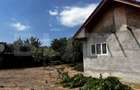 Casa pe parter Brestei, 125 mpu, 470 mp teren - 5