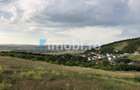 Teren Construcții de 5111 mp, în Dezmir - 5 Teren Construcții de 5111 mp, în Dezmir - 5