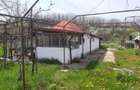 Casa curte 1800m2 zona Colonesti, Olt tel.0733829402 - 7