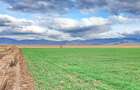 Teren agricol extravilan de 8400 mp, în Tărlungeni - 2