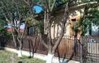 Casă cu 4 camere în Garoafa - 6