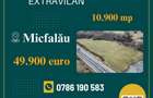 De vânzare teren extravilan de 10.900 metri pătrați în Micfalău. - 1