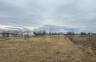 Teren intravilan de 5200 mp, în Central - 3