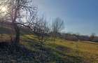 Proprietate 7400 mp, Mazanaesti(Suceava),casa renovata partial - 5