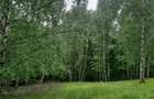 Terem de vanzare Setea Potoc 13.000 m2 - 8