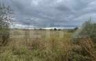 Teren de vanzare, 4.300 mp, zona Cornesti - Mihai Viteazu