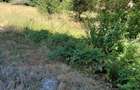 TEREN INTRAVILAN ÎN MARGA-LA DN68 JUD.CARAȘ-SEVERIN - 5