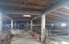 Ferma de inchiriat teren 21.000 mp, utilita?i complete pt activitate agricola si sau logistica - 4