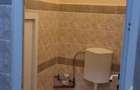 VAND/ INCHIRIEZ SPATIU COMERCIAL CENTRAL - 3