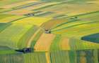 Vând 3 ha teren agricol, Unirea județul Călărași, preț 111000 RON - 1