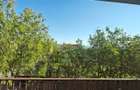 Apartament 3 camere, 117mp, 2 locuri parcare, boxa, zona Mihai Romanul - 5