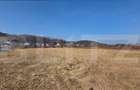 Teren intravilan de vanzare, 700 mp, zona Vii?oare - 1