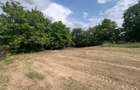Teren Intravilan Botosani 1270 mp - acces Strada Liliacului nr 4A si Strada Iuliu Maniu - 5