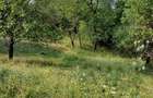 Teren intravilan de vanzare - 4