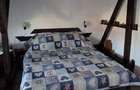 Apartament in vila zona Domenii - 2