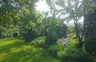 Vand teren 0,75 ha in Bazna cu doua case, o casuta, anexe... Ideal pentru camping, Airbnb, pensiune - 2