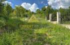 Teren intravilan Baia Sprie 815 mp - 3