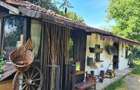 Casă individuală cu 5 camere cu Canalizare în Buciumi - 4