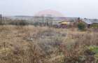 Loc de casa si teren cultivat cu vita de vie 1,28 Ha Sant... - 8
