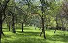 Casă  de vânzare în zona Câmpulung înconjurată de natura - 2