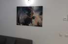 Apartament cu 3 camere în Floreasca - 9