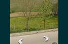 Teren 3500m2 intravilan in Baiceni - 3