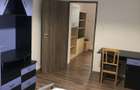 Inchiriere apartament ultracentral Baia Mare - 6