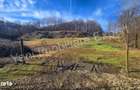 Teren de 4821 mp, în Băiculești - 7