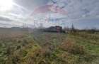 Teren de 1330 mp, în Drăgoiești - 3