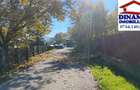 3600 mp teren intravilan, sat Bistrita, 12 Euro mp - 3