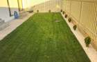 Apartament cu 2 camere ,gradina si loc de parcare - 1