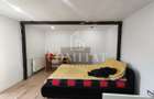 Apartament cu 1 camera la casa | Cartierul Andrei Mure?anu - 2