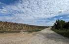 Teren Construcții intravilan de 625 mp, în Moara Vlăsiei - 4