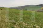 Casă cu 1 camere cu Teren 3000 Mp în Someșeni - 4 Casă cu 1 camere cu Teren 3000 Mp în Someșeni - 4