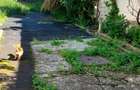 Casă individuală cu 7 camere cu Canalizare în Cisnădie - 3