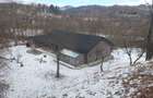 Casa Breaza, stil norvegian(Adunati), 3 ani vechime, din lemn masiv, teren 3865mp,1,5 ore pana la Bucuresti, piscina incalzita, sera sticla,, magazie