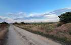 Teren Intravilan 959 mp Balaceanca (Cernica), Zona Rezidentiala Noua - 4