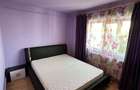 Apartament 2 decomandate,ROVINE,centrala termica,mobilat,utilat - 8