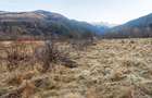 Teren 1.000 MP IN DEJANI la marginea padurii, PRIVELISTE DEOSEBITA - 3