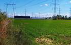 Terenuri intravilane 4550 MP, deschidere la stradă 32 m - 4
